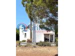 Villa in vendita a Diso