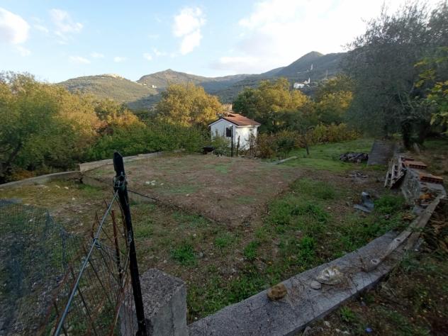 VENDESI A CHIUSAVECCHIA CASA INDIPENDENTE IN OTTIMO STATO CON GARAGE E GRANDE TERRENO DI OLTRE 4000 MQ - Foto 10