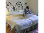Absolute B&B