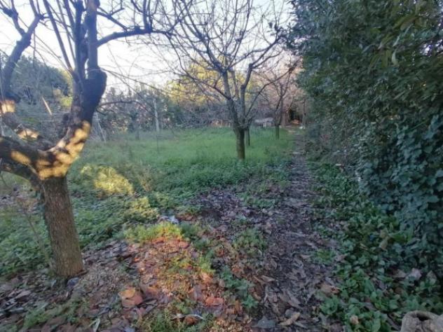 Immobile in asta di 514 m² in vendita a Grottazzolina - Foto 3