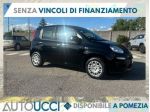 FIAT Pandina 1.0 FireFly Hybrid Icon 65 CV Km Zero Senza Vincol rif. 23830653