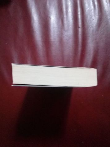 Libro: 999 L'ultimo custode - Carlo A. Martigli - Foto 4