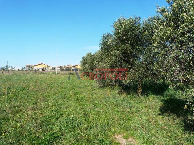 Terreno Edificabile - Rif. 2489 - Foto 12