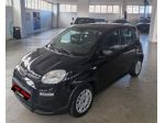 FIAT Panda Panda 1.0 firefly hybrid s&s 70cv