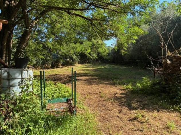 Baita/Chalet/Trullo in vendita a Cascine - Buti 30 mq Rif: 1420846 - Foto 6