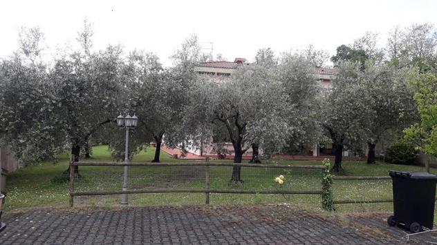 Casa semindipendente in vendita a Avenza - Carrara 344 mq Rif: 896464 - Foto 3