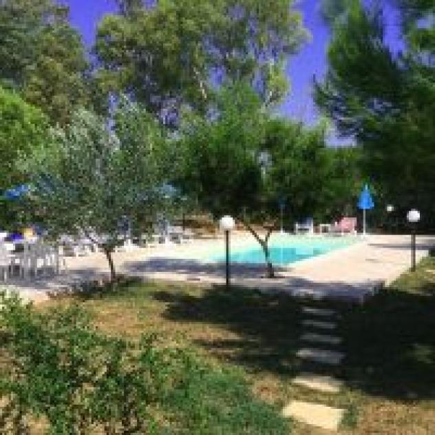 Verdeblu - Foto 4