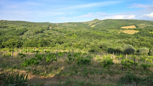 Casale in vendita a Panicale - Foto 6