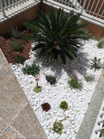 Giardiniere - Foto 5