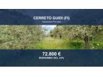 Immobile in asta di 62628 m² in vendita a Cerreto Guidi