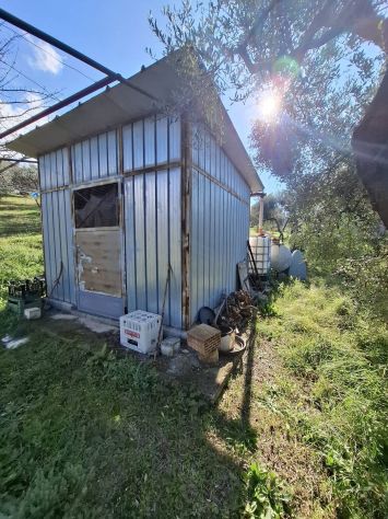 TERRENO AGRICOLO IN VENDITA Palombara Sabina (RM) - - Foto 7