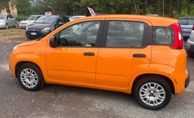 FIAT Panda 1.2 rif. 24113956 - Foto 7