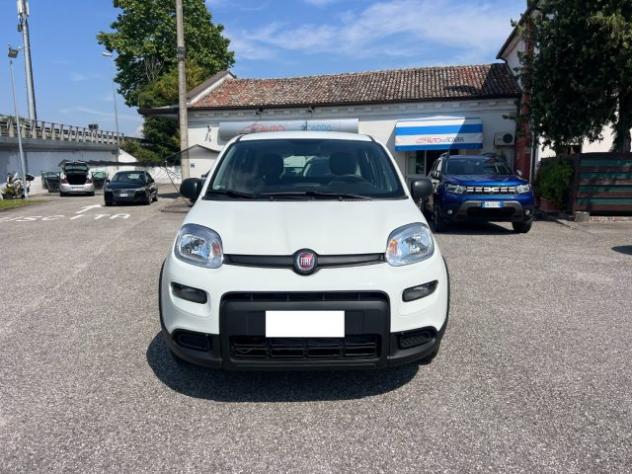 FIAT Panda 1.0 FireFly S&S Hybrid 70CV UNICO PROPRIETARIO rif. 23675530 - Foto 2