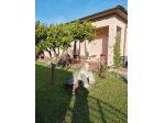 Villa in affitto a Forte dei Marmi 110 mq  Rif: 1399952