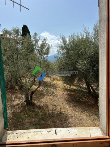 Appartamento terra tetto a Castelnuovo dell’Abate, Montalcino, Siena. - Foto 6