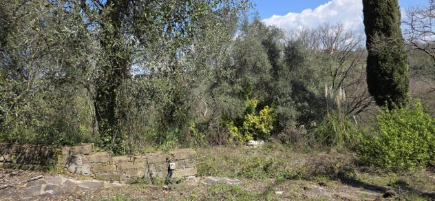 Uliveto in vendita a Morlupo - Foto 16