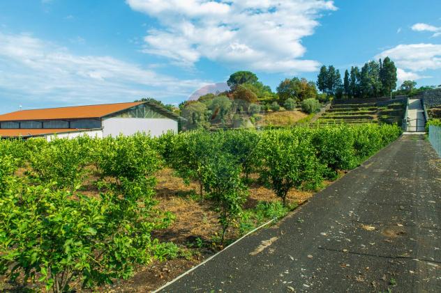 Terreno in vendita a Santa Venerina, Dagala del Re - Foto 12