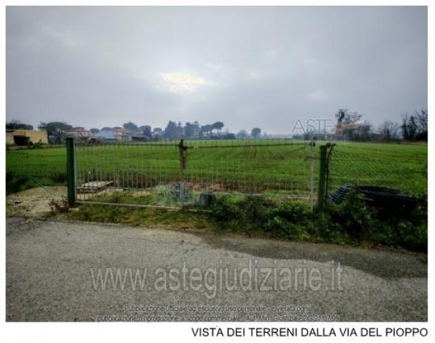 IMMOBILI-ALTRA CATEGORIA-Via del Pioppo, 47822 San Vito RN, Italia - Foto 7