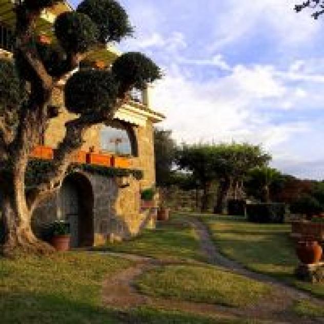 Bilisari Silvia Bed & Breakfast al Pino - Foto 2