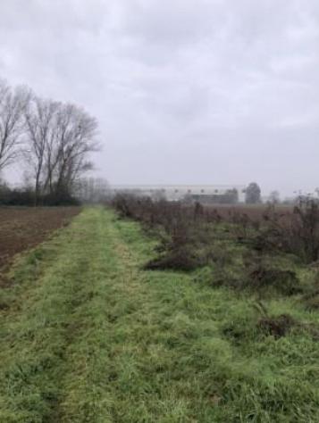 R.G.E. 258/2024 Pavia - Foto 6