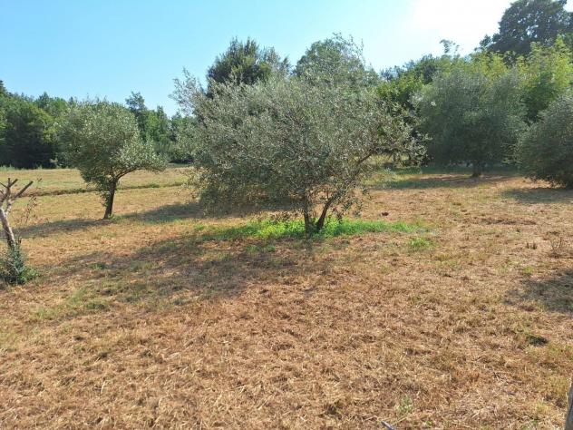Fienile in vendita a Orentano - Castelfranco di Sotto 115 mq Rif: 1279967 - Foto 7