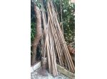 ATTREZZI PER ORTO E GIARDINO in REGALO