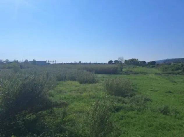 Immobile in asta di 7110 m² in vendita a Martinsicuro - Foto 4