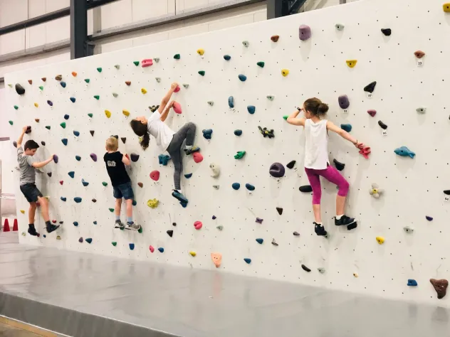 Struttura Arrampicata per Ludoteche e Baby Parking - Foto 6