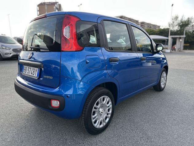 FIAT Panda Panda 1.0 FireFly S&S Hybrid - Foto 7