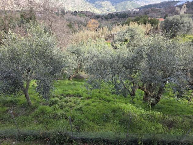 Villa in vendita a Sessa Cilento - Foto 3