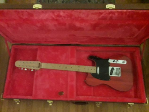 12 corde chitarra elettrica