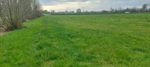 Terreno di 34149 m² in vendita a Piazzola sul Brenta - Foto 4