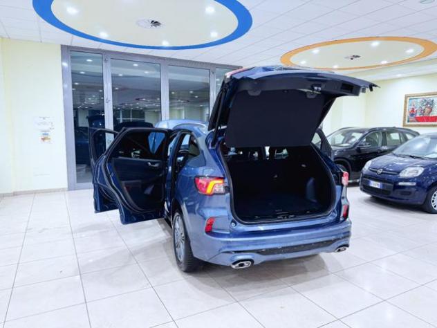 FORD Kuga 2.0 EcoBlue 120 CV aut. 2WD ST-Line rif. 22666384 - Foto 8