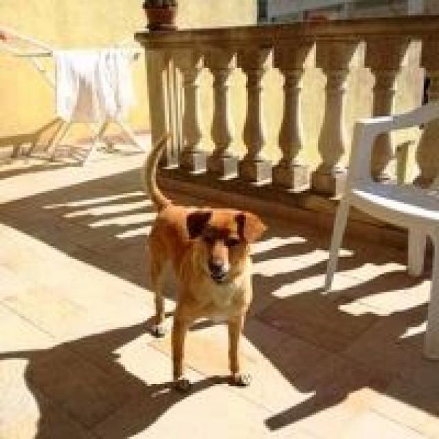 Villa Striari - Foto 3