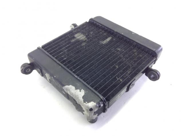 HONDA FORESIGHT 250 RADIATORE ACQUA LIQUIDO RAFFREDDAMENTO MOTORE 1998 2004 - Foto 5