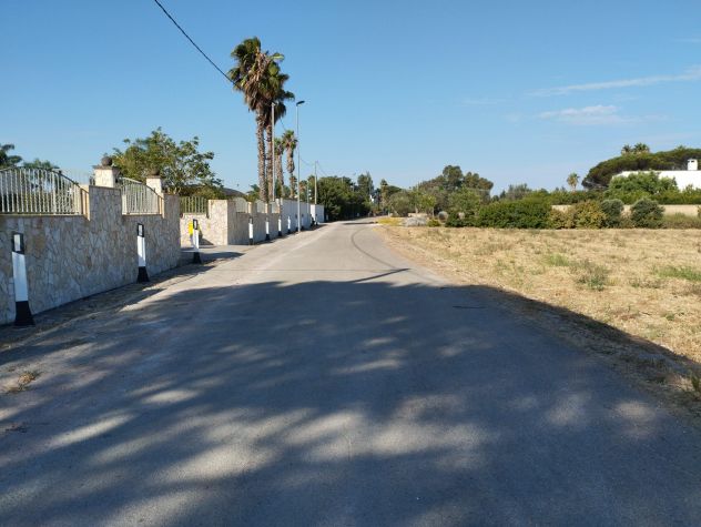 Terreno con 70 alberi d'ulivo - Foto 9