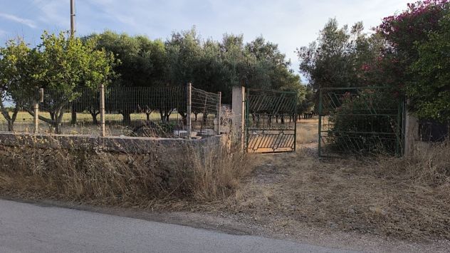 TERRENO AGRICOLO C.DA EREDITA’ VILLA CASTELLI