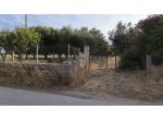 TERRENO AGRICOLO C.DA EREDITA’ VILLA CASTELLI