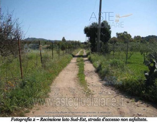IMMOBILI-ALTRA CATEGORIA-Località Su Parargiu - Foto 3