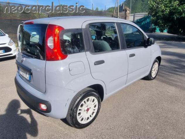 FIAT Panda 1.2 Easy rif. 23811052 - Foto 4