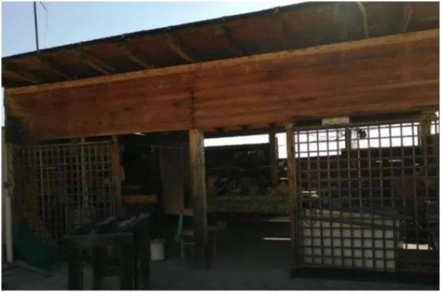 Immobile in asta di 88 m² in vendita a Scaletta Zanclea - Foto 14