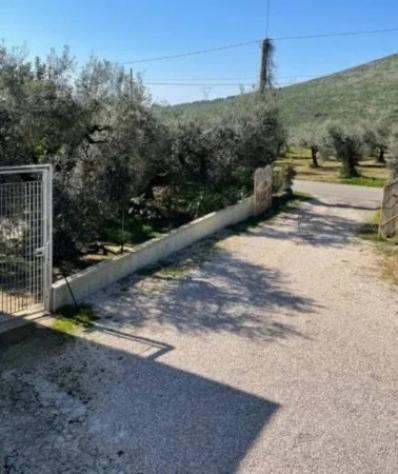 Immobile in asta di 224 m² con più di 5 locali in vendita a Sezze - Foto 13