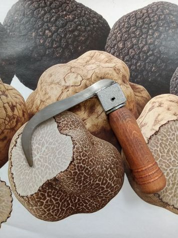 Zappino professionale per tartufi – Artigianale, robusto e preciso - Foto 2