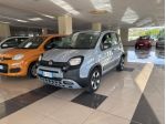 FIAT Panda 3ª serie Panda 1.0 FireFly S&S Hybrid City Cross