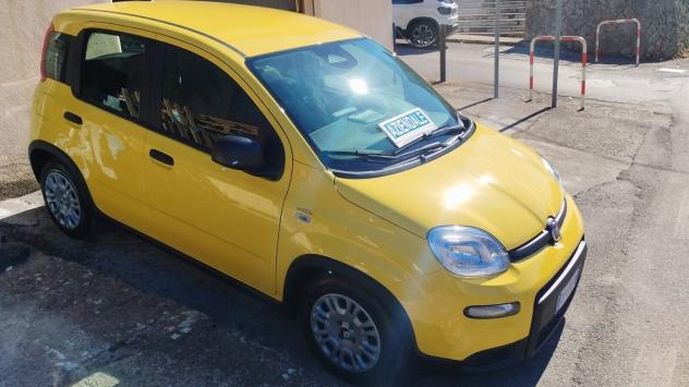 Fiat Panda 1.0 FireFly S&S Hybrid - Foto 5