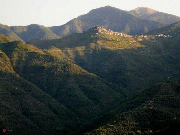 Rustico - Foto 5