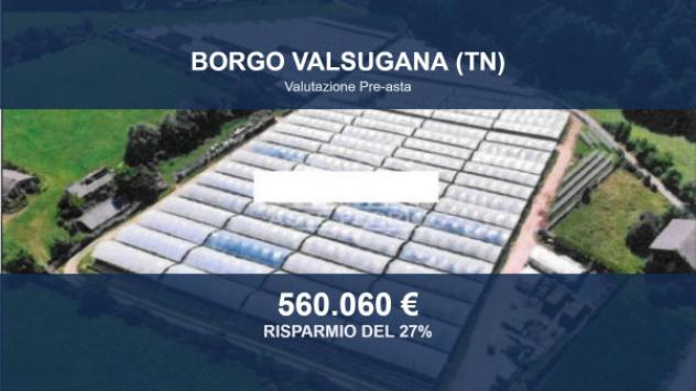 Immobile in asta di 30279 m² in vendita a Borgo Valsugana