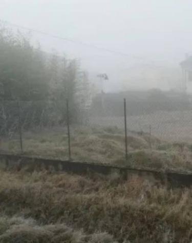 Immobile in asta di 4160 m² in vendita a Caorso - Foto 3