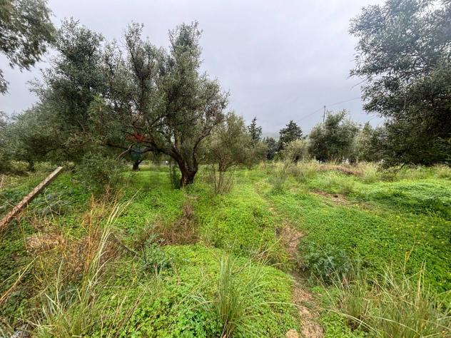 Terreno in vendita a Carlentini - Foto 2