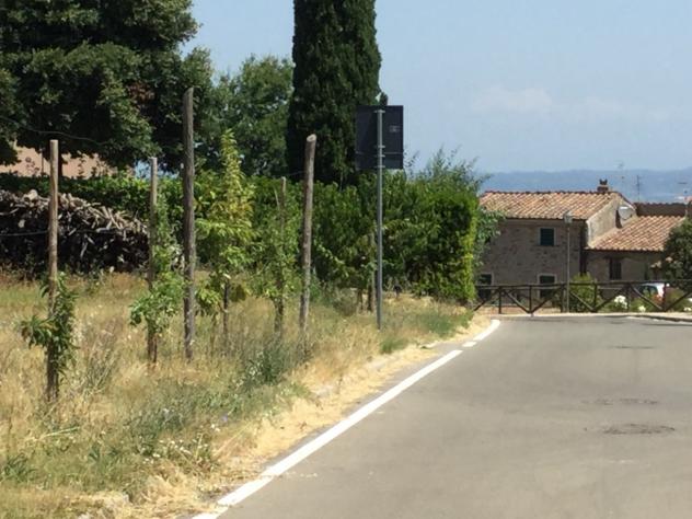 Agricolo in vendita a Chianni - Foto 3